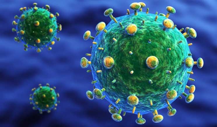 Aids, scoperto dove si nasconde il virus nell’organismo umano