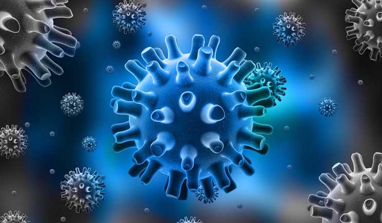 Il virus dell’herpes combatte il cancro alla pelle