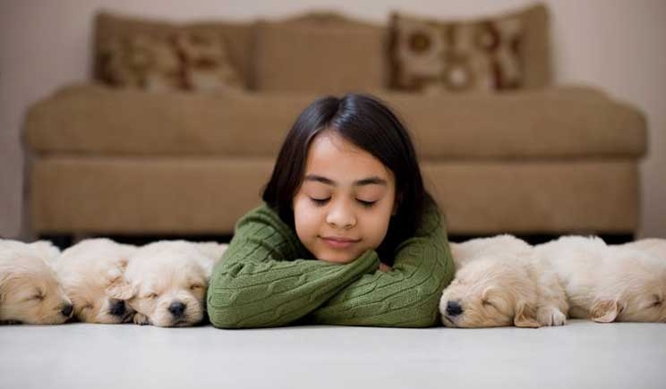 Pet Therapy, i bambini malati abbracciano i loro cani
