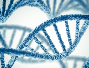 Sclerosi multipla, un gene aumenta il rischio