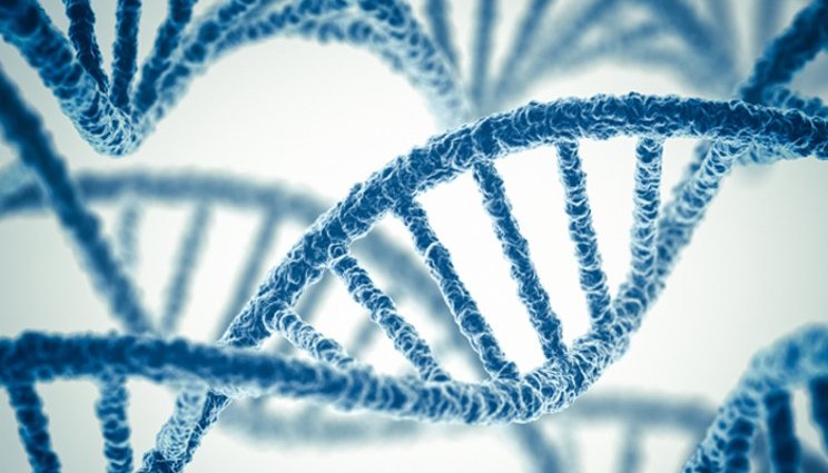 Sclerosi multipla, un gene aumenta il rischio