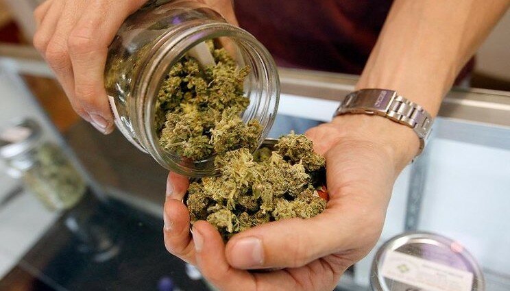 Boom di ordini per la Marijuana legale