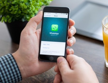 WhatsApp, nuovo upgrade con due importanti funzioni